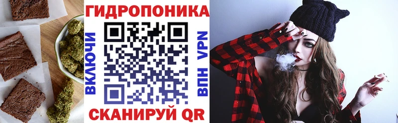 мориарти формула  ОМГ ОМГ вход  Трёхгорный  что такое   Cannafood конопля 