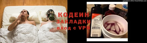 гашик Няндома