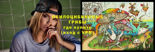 дмт Алексеевка