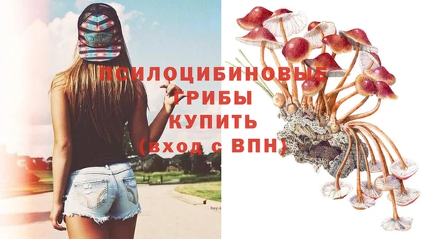 дмт Алексеевка