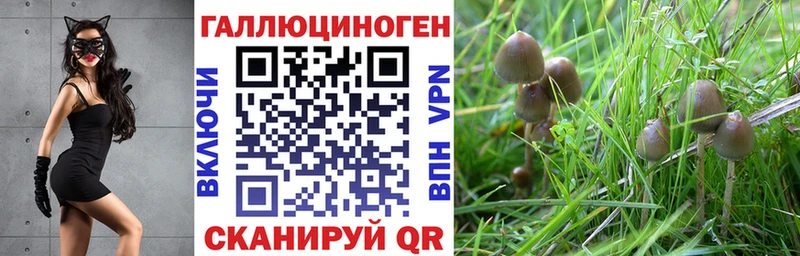Псилоцибиновые грибы MAGIC MUSHROOMS  Трёхгорный 